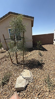 IMG 4915